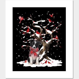 Border Collie Scarf Cardinal Snow Christmas Posters and Art